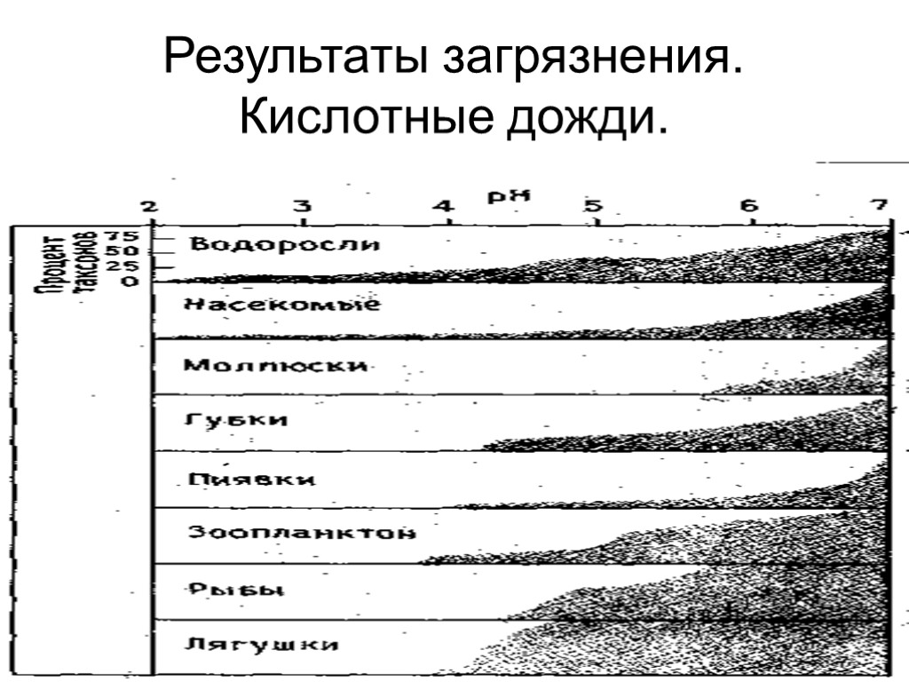 14 Результаты загрязнения. Кислотные дожди.